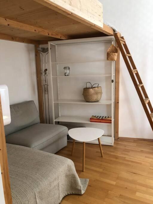 Neues, Gemuetliches Im Zentrum In Ruhelage Viena
