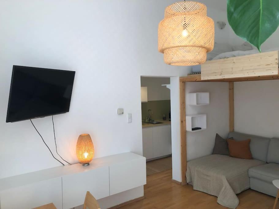 Neues, Gemuetliches Im Zentrum In Ruhelage * Viena