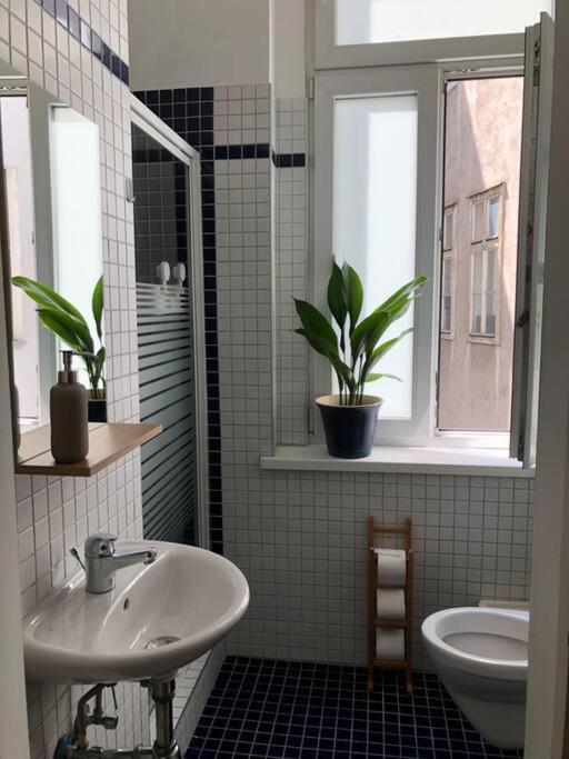 Neues, Gemuetliches Im Zentrum In Ruhelage Viena